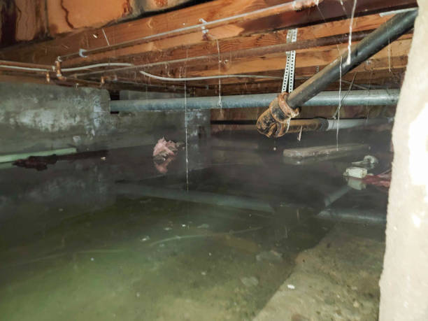 Best 24-hour water damage restoration  in Spindale, NC