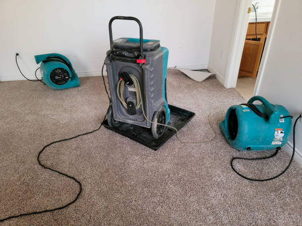 Best Ceiling water damage repair  in Spindale, NC
