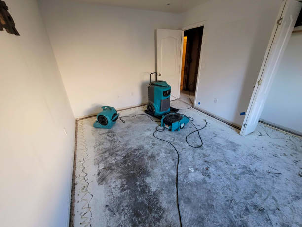 Best Local water damage restoration  in Spindale, NC