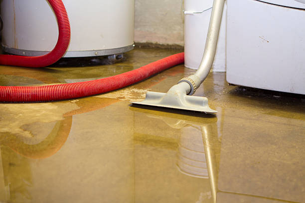 Best Water damage restoration near me  in Spindale, NC