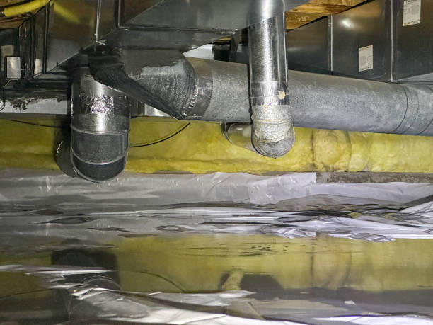 Best Water damage contractors near me  in Spindale, NC