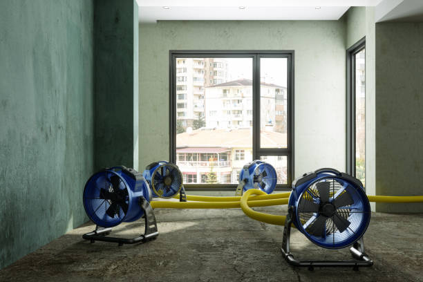 Best Professional water damage repair  in Spindale, NC